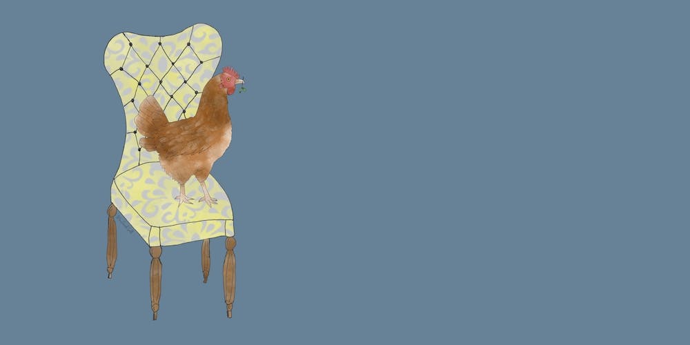 Miss Hen Chicken On A Chair 2