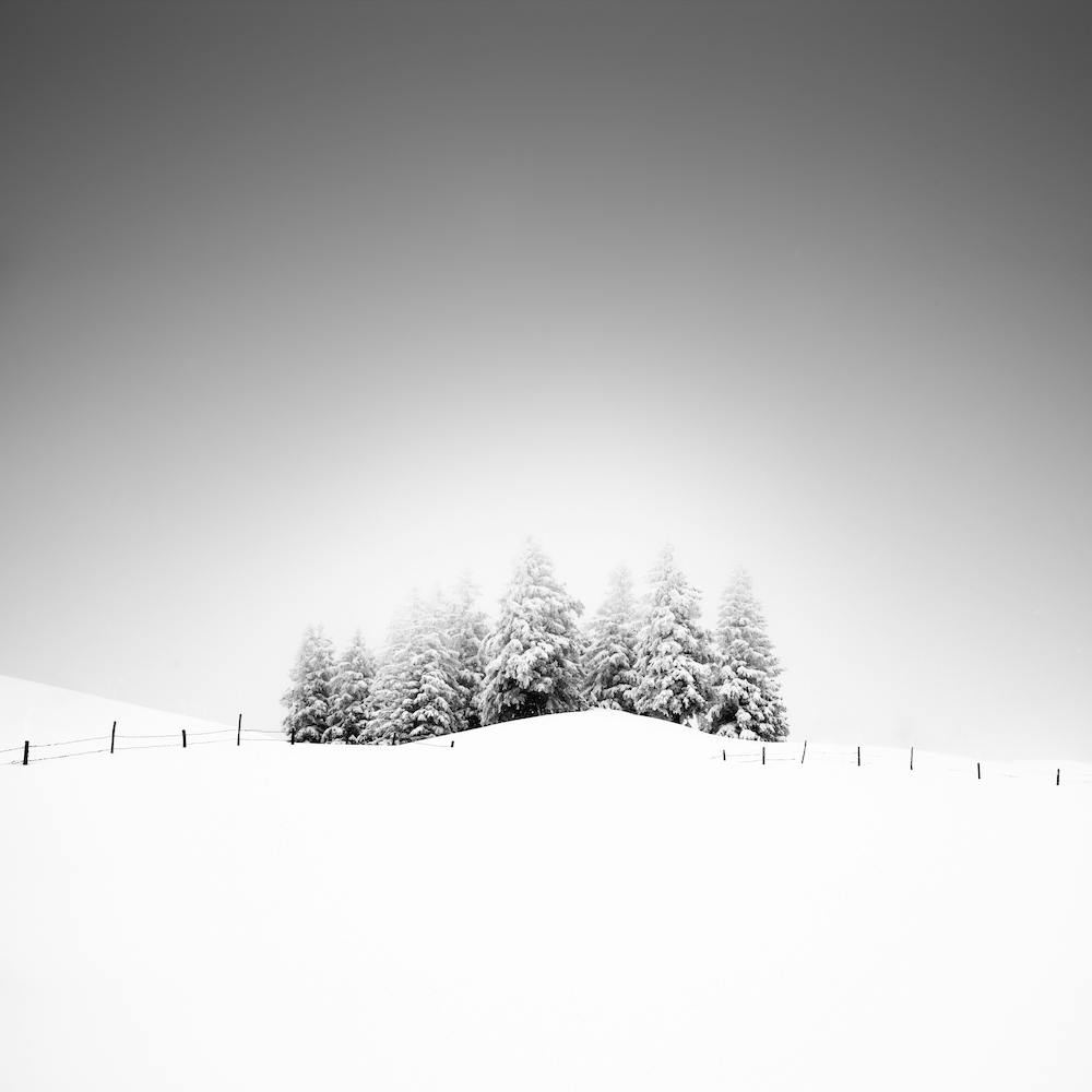 Cohesion
