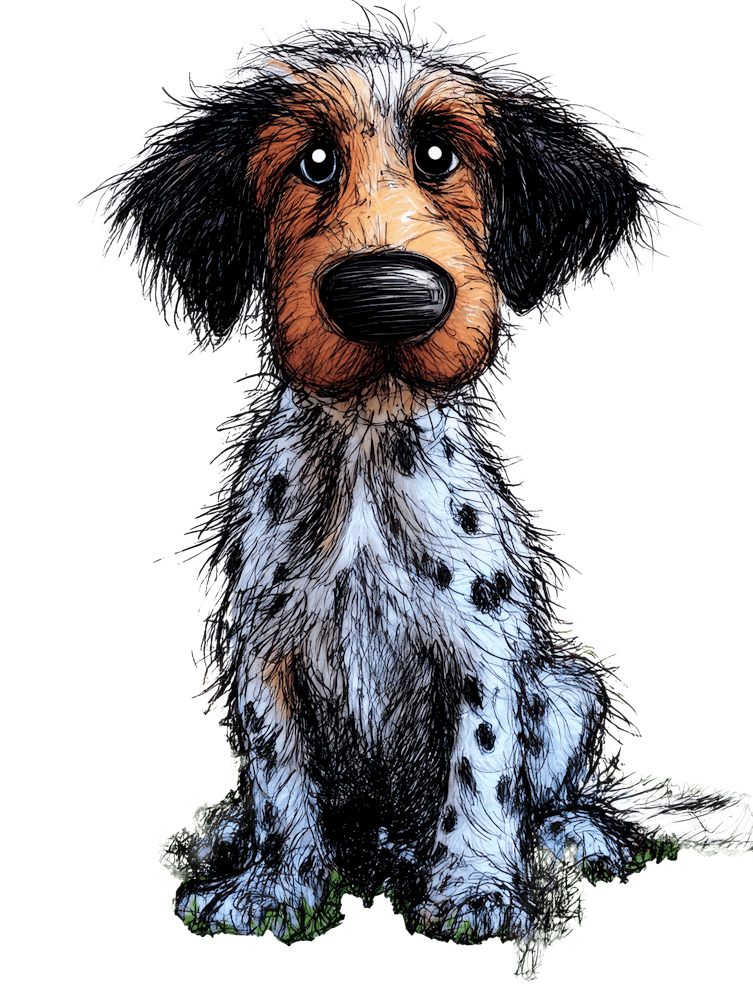 Dalmadoodle 2 Hund