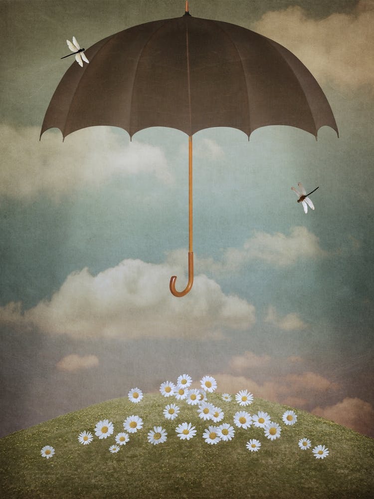 Umbrella In The Sky