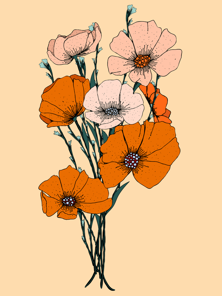 Poppies 2