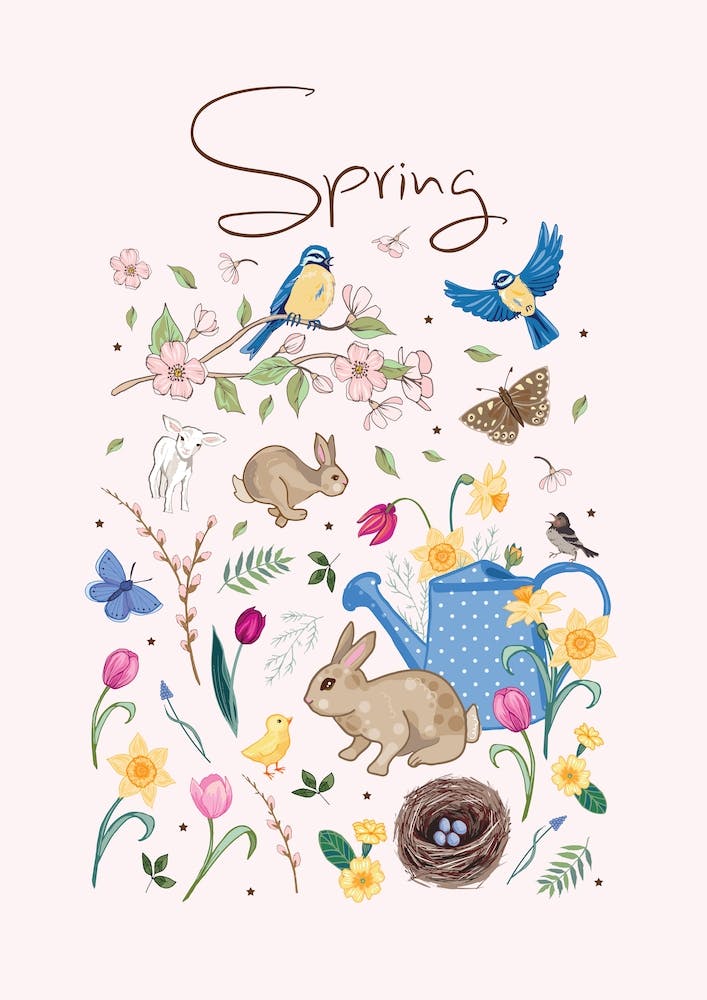 Spring Wildlife