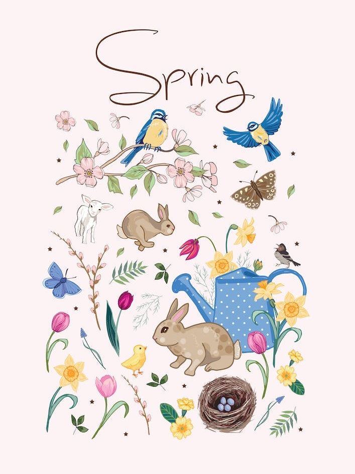 Spring Wildlife
