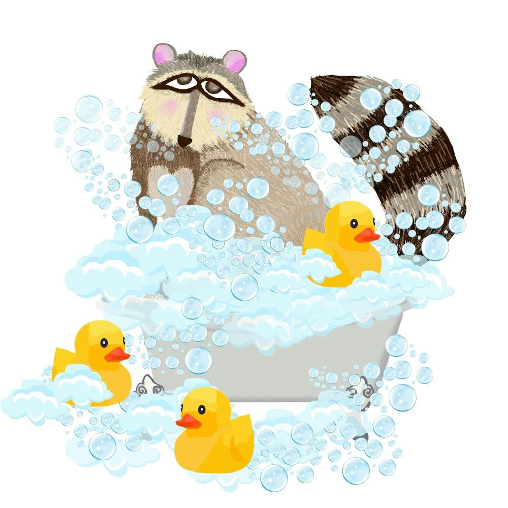 Raccoon in the bathtub