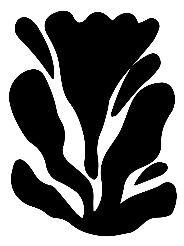 Black Flower