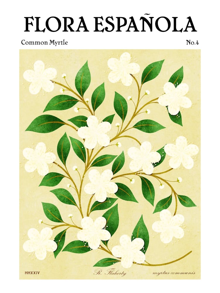 Spanish Flora Common Myrtle