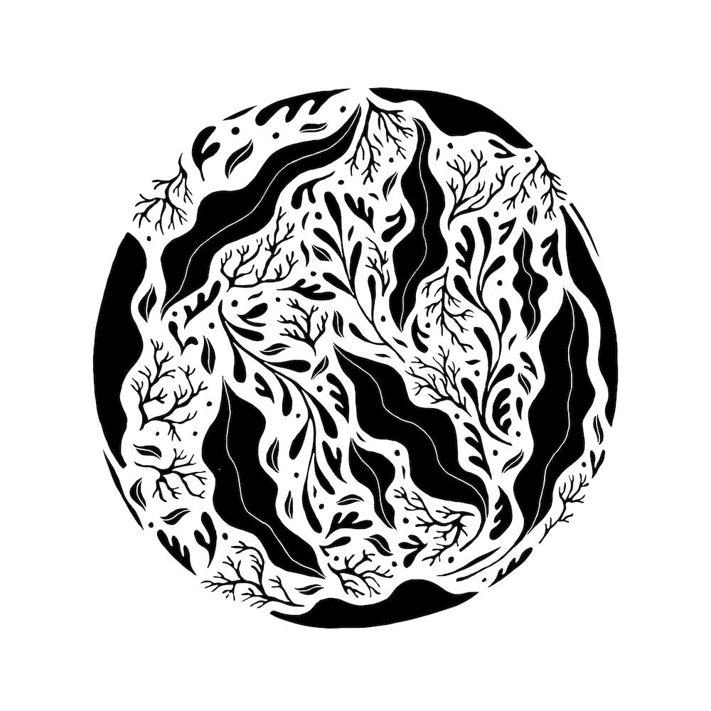 Plants Of Paradise 001 Square