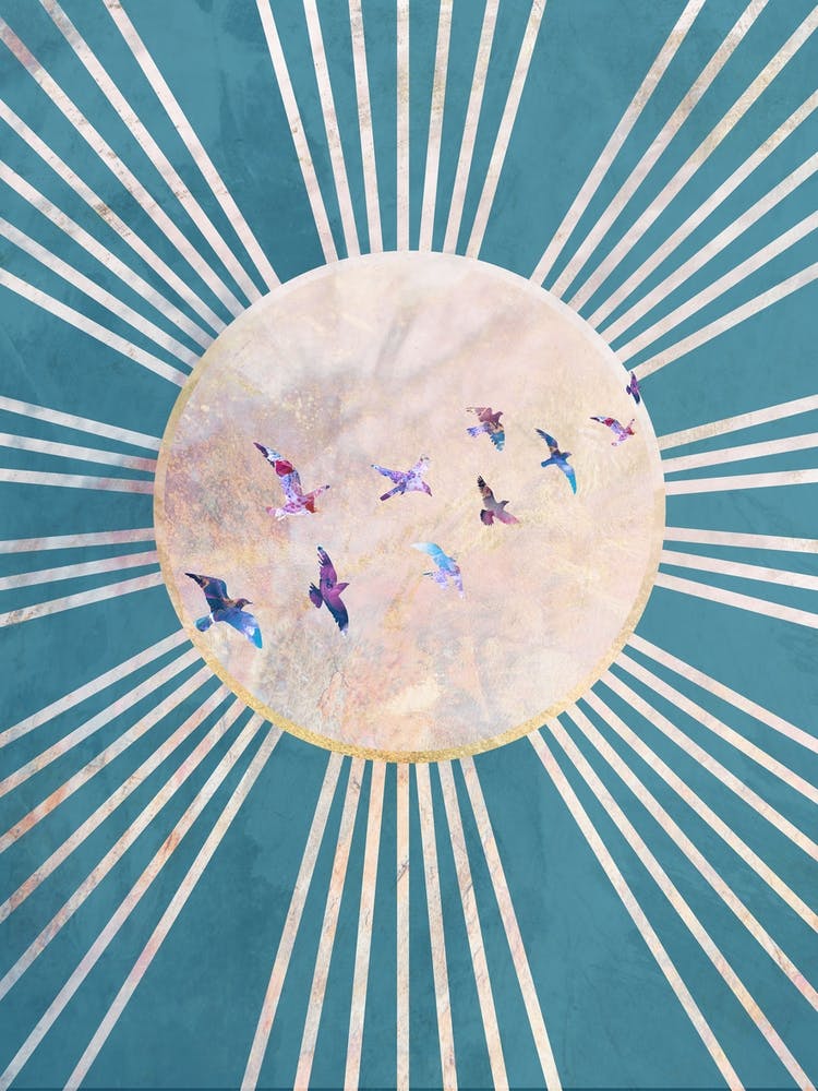 Birds Flying In The Sky with sun