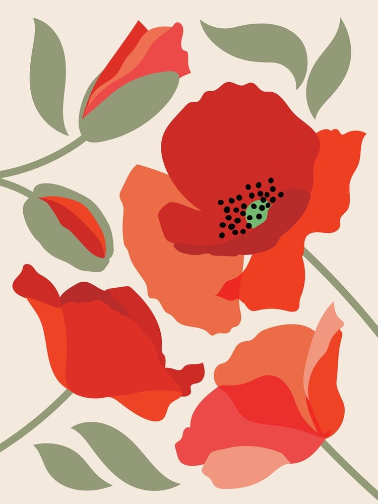 Orange Poppy Floral Flowers