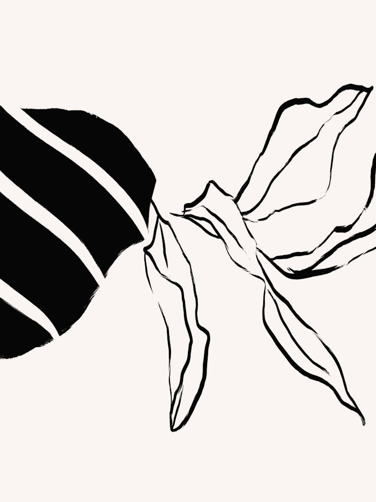 Striped Leaves