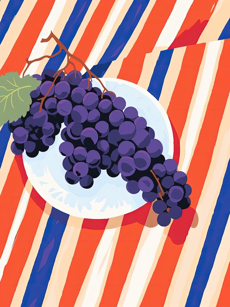 Grapes Fruit Summer Illustration 1