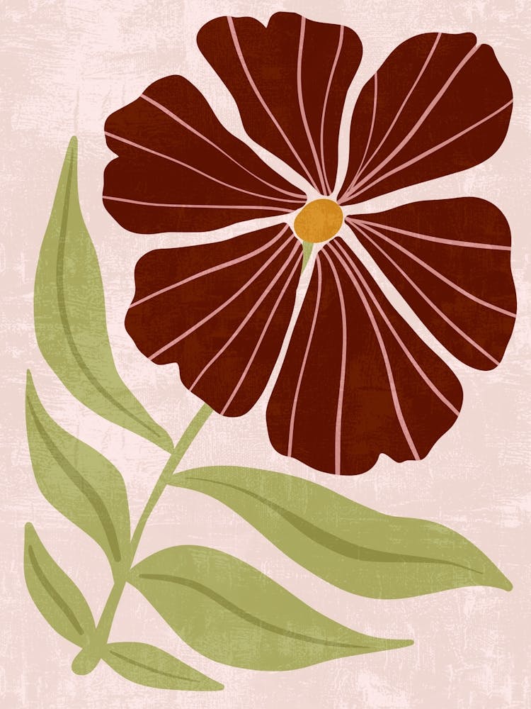 Granatapfelblüte 1