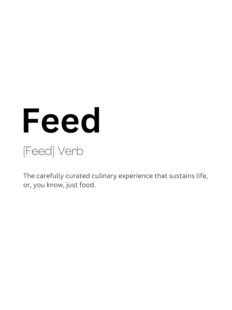 Feed Definition Meaning