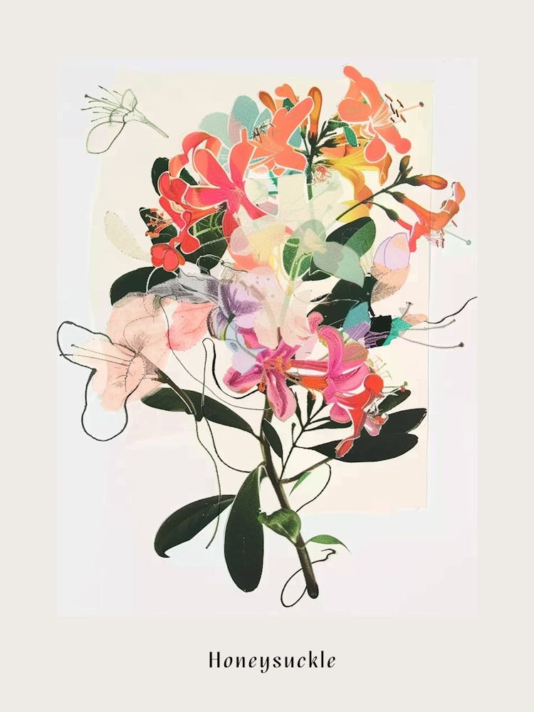 Geißblatt 1 Collage Blumenstrauß Poster