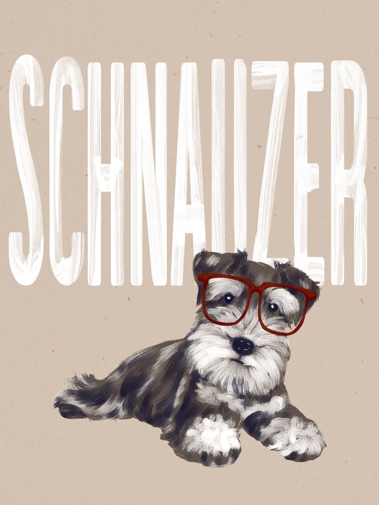 Schnauzer Dog
