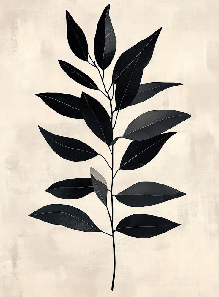 Black Leaf Canvas Print