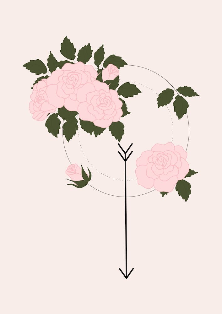 Pink Rose And Arrow
