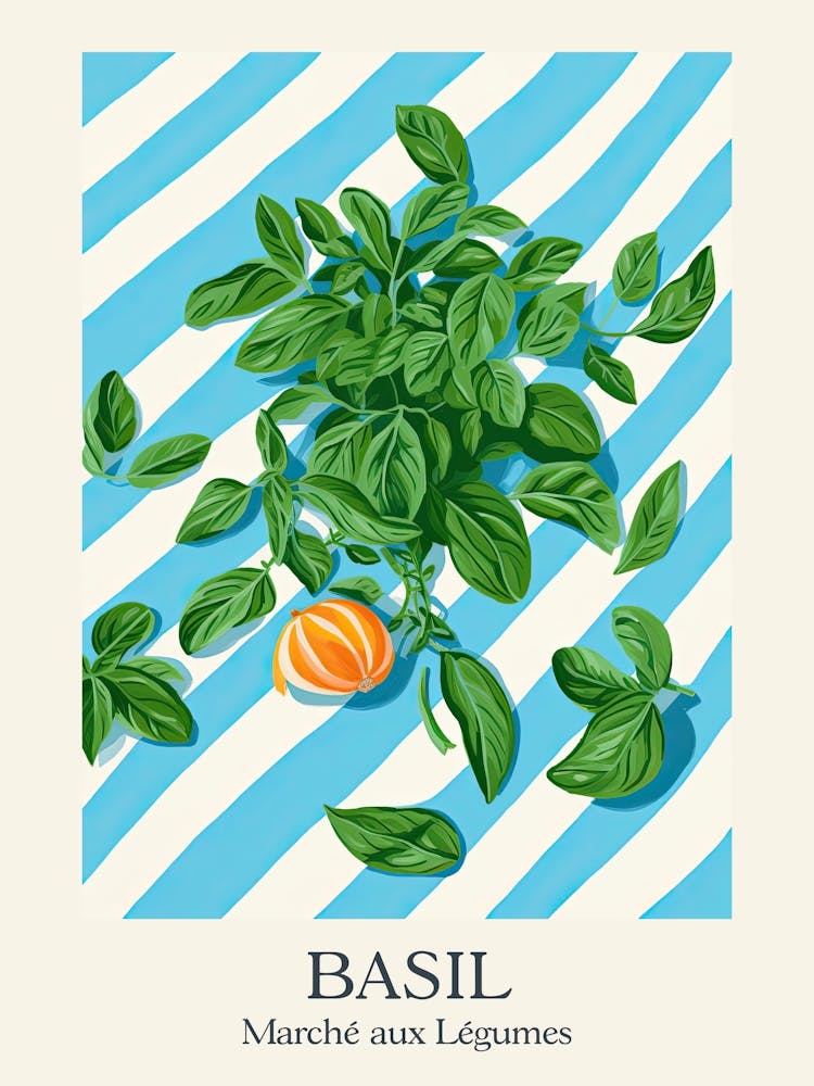 Marche Aux Legumes Basil Summer Illustration 6