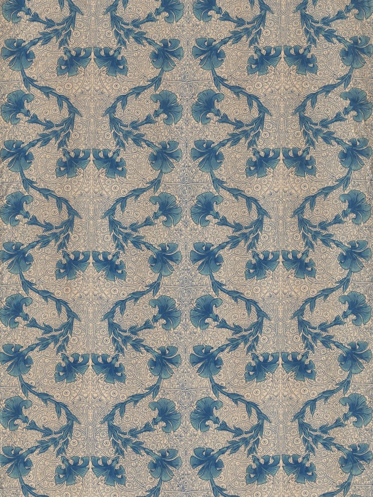 Carnation, Kate Faulkner