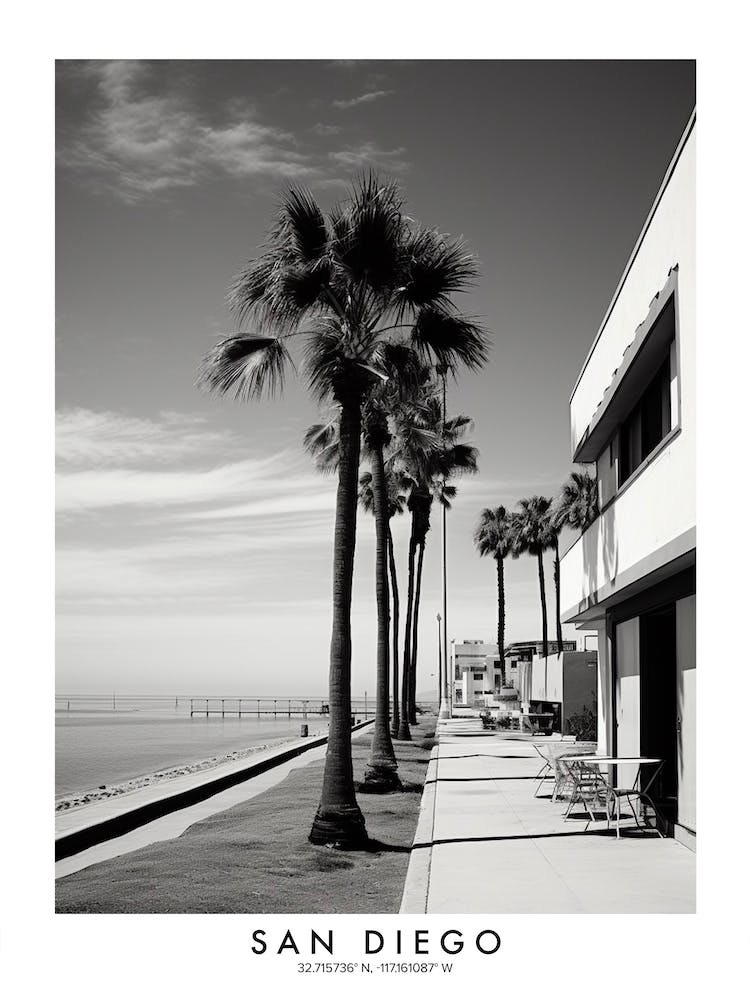 Poster Of San Diego, Black And White Analogue Photograph 4