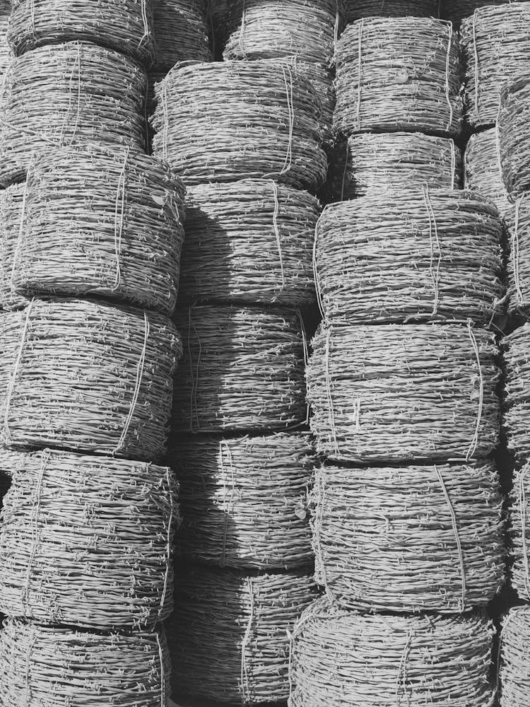 Piles Of Barbed Wire Near New Roads, Louisiana By Russell Lee