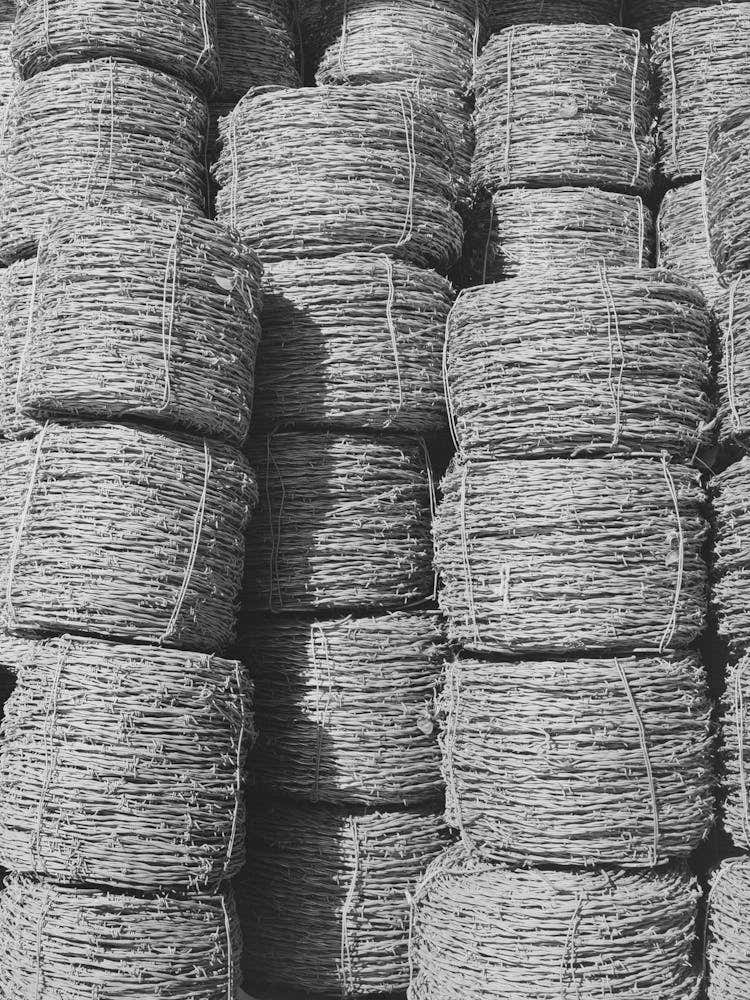 Piles Of Barbed Wire Near New Roads, Louisiana By Russell Lee