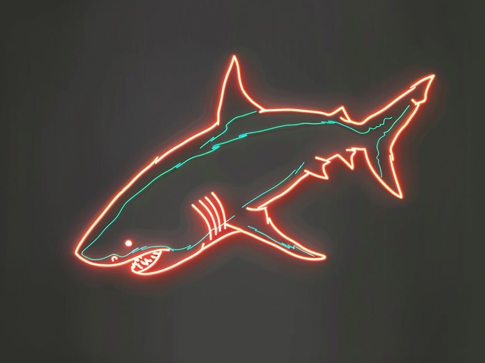Neon Dark Red Whale Shark 6