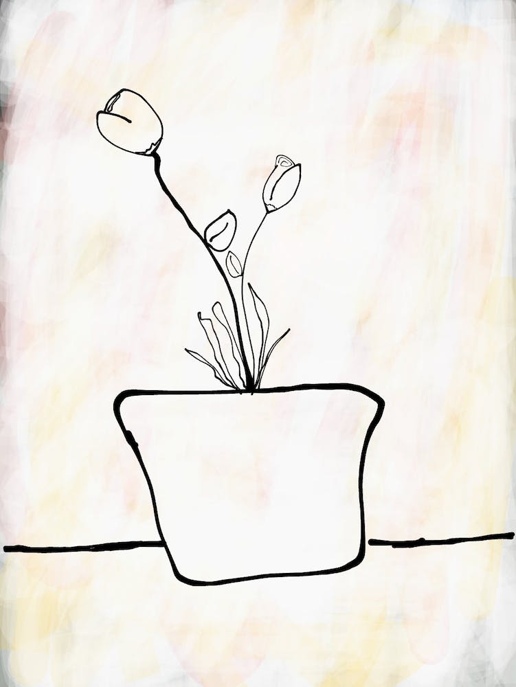 Tulips In A Vase