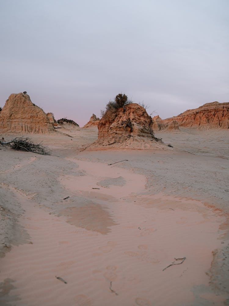 Desert Landscape 4