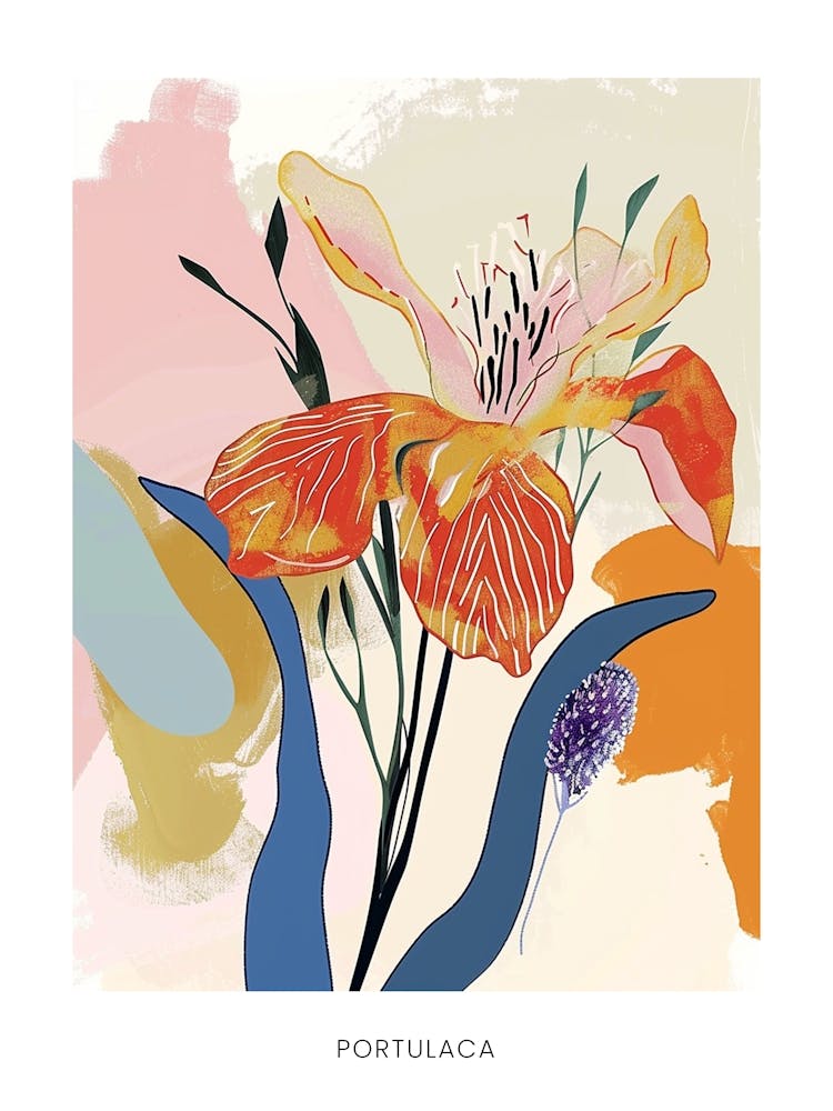 Colourful Flower Illustration Poster Portulaca 1
