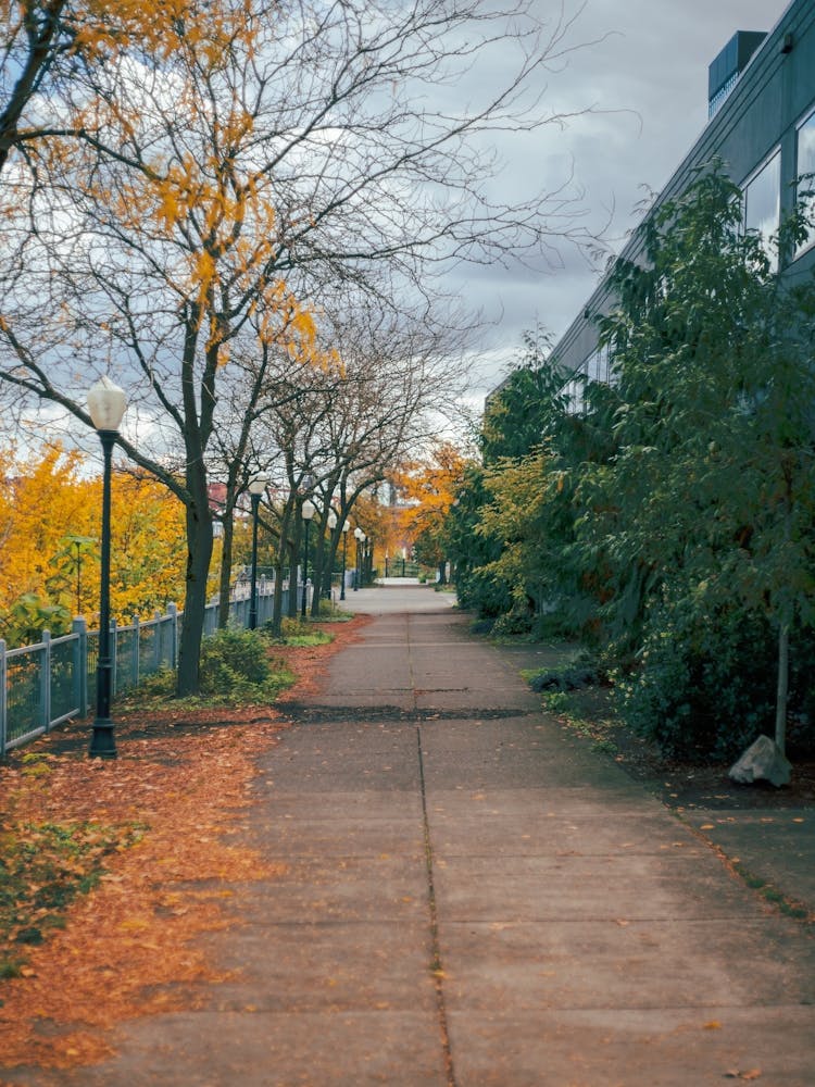 Autumn Urban Sidewalk II