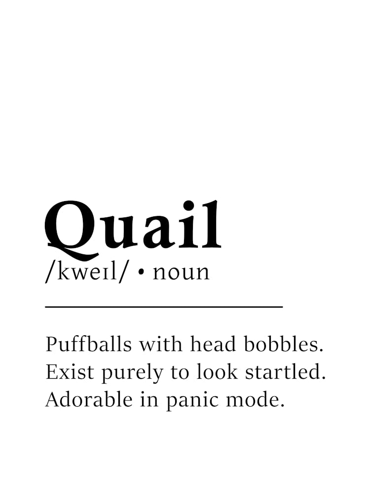 Quail Definition Poster - Dictionary