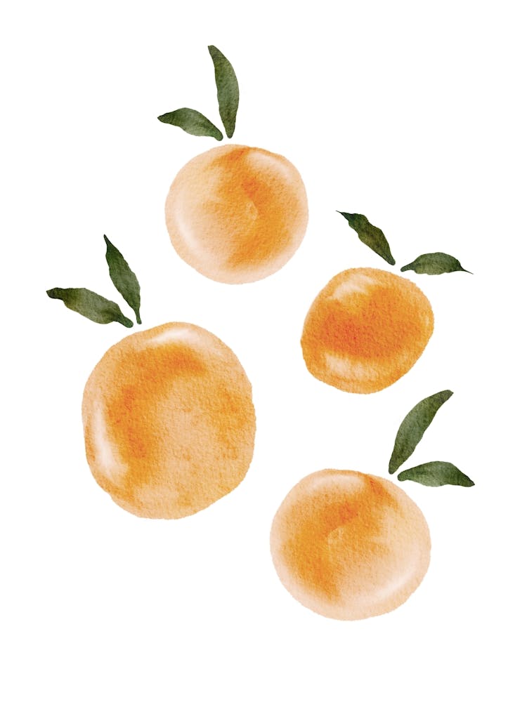 Watercolor Oranges