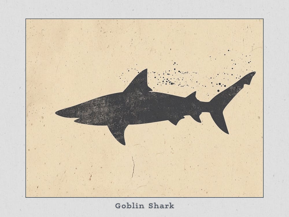 Goblin Shark Silhouette 1 Poster