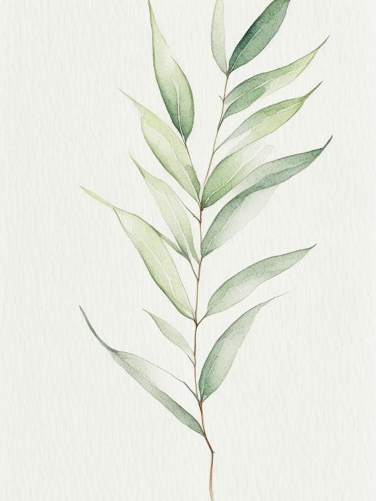 Willow Leaf Minimalist Watercolour 4