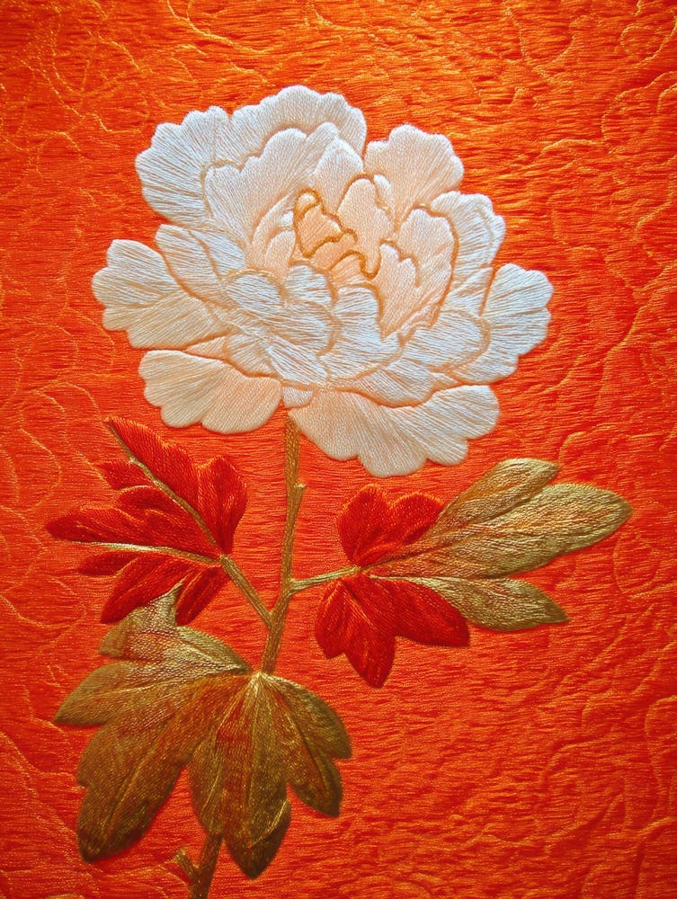 Peony 7