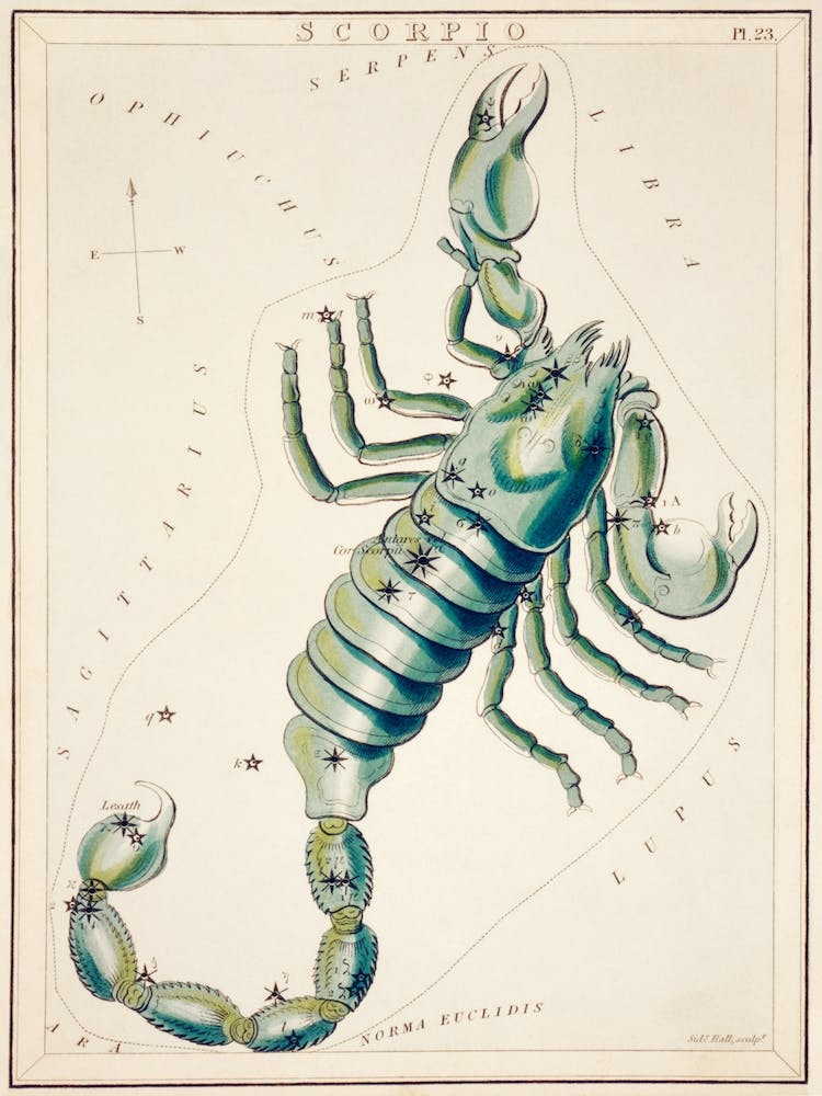 Scorpio, Sidney Hall