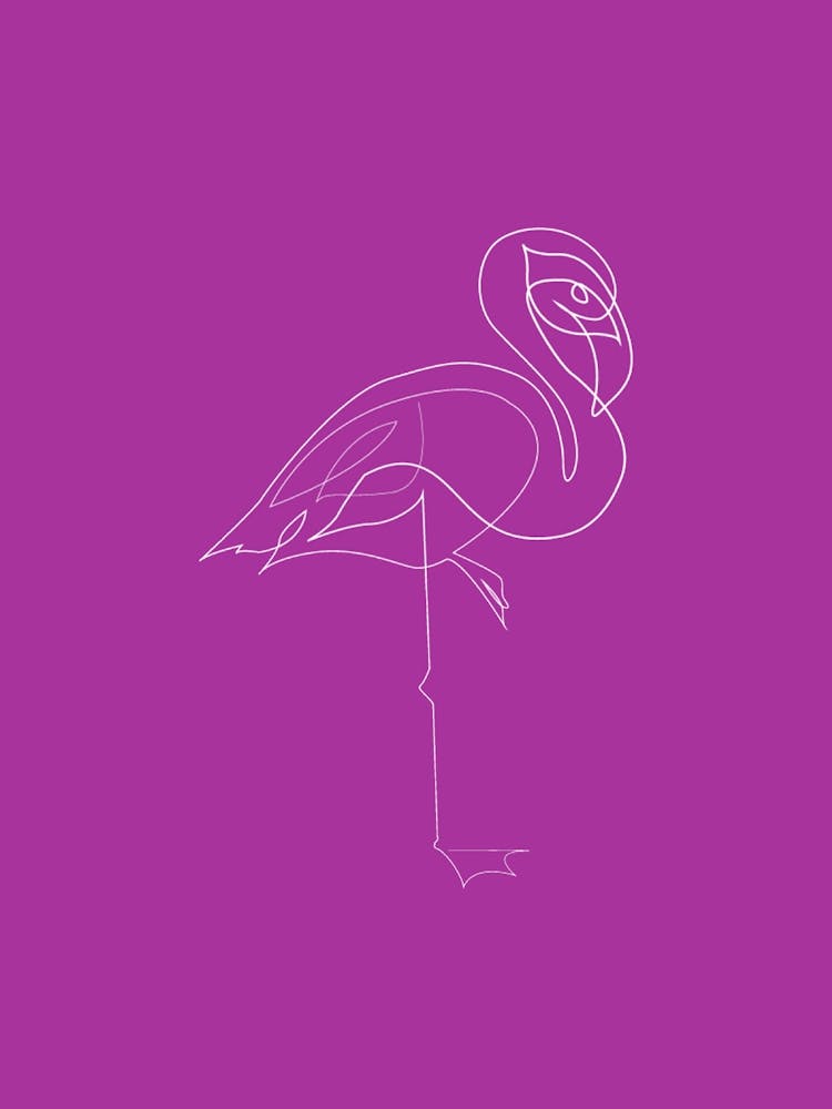 Flamingo - Line Art Series