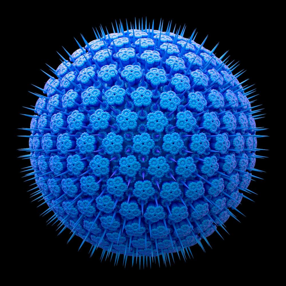 Spicky Virus Particle Type 6