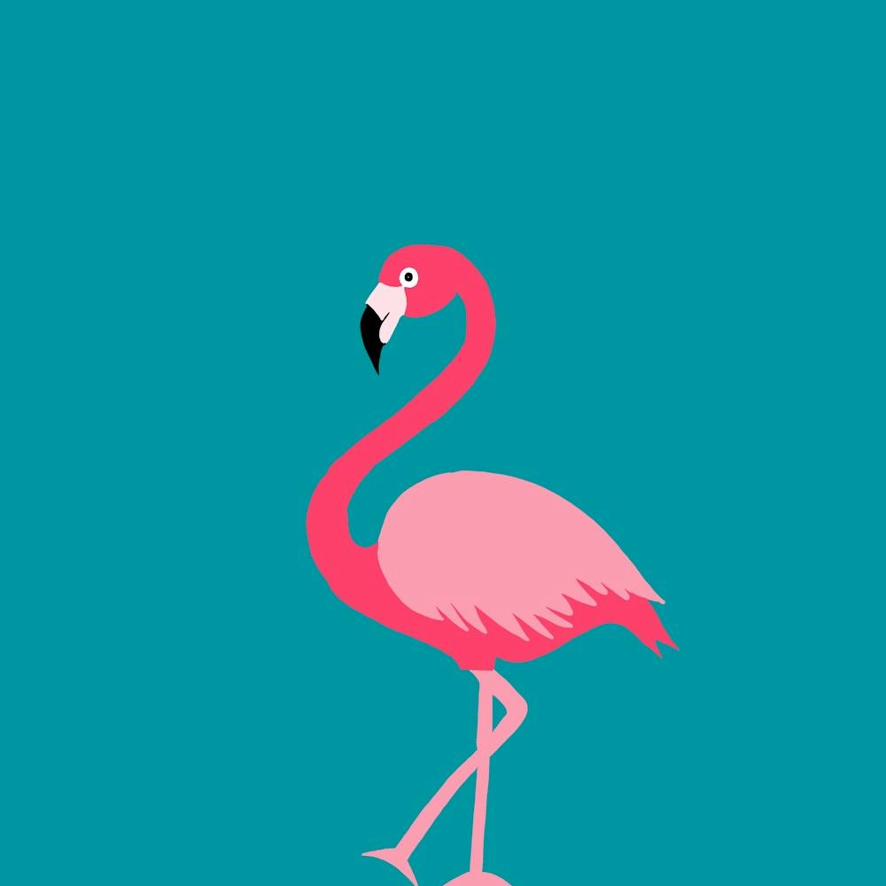 Tropical Flamingo