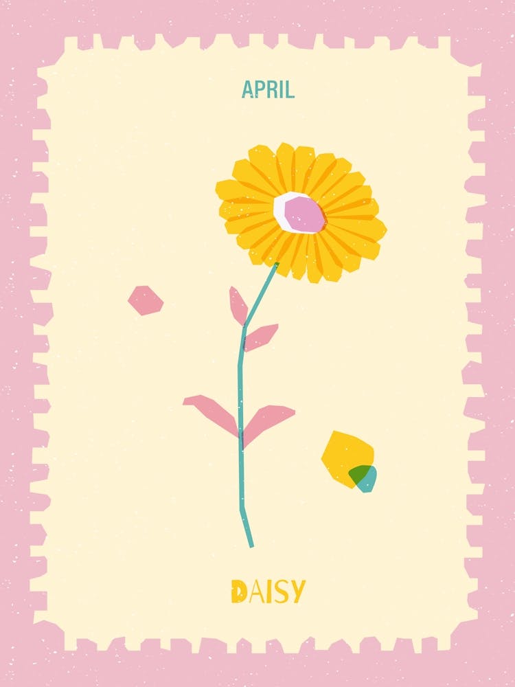April Birthmonth Flower Daisy 1