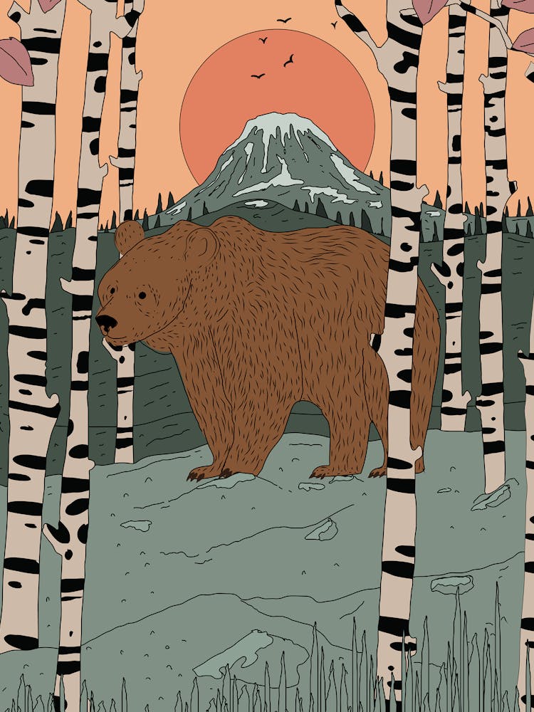 Bear In The Woods 1