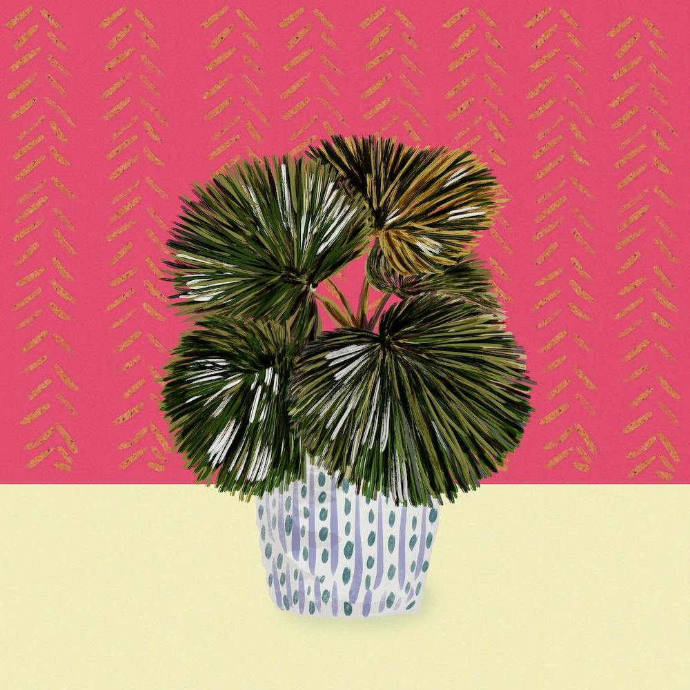 Funky Cactus 2 Square