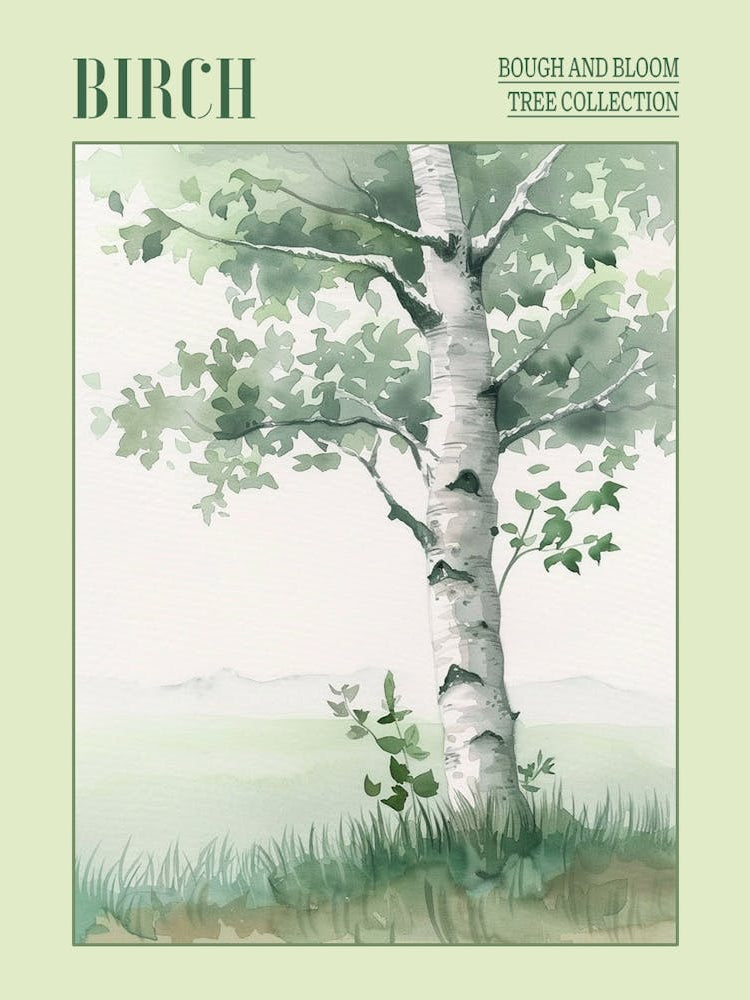 Birch Tree Atmospheric Watercolour Painting 2 Poster
