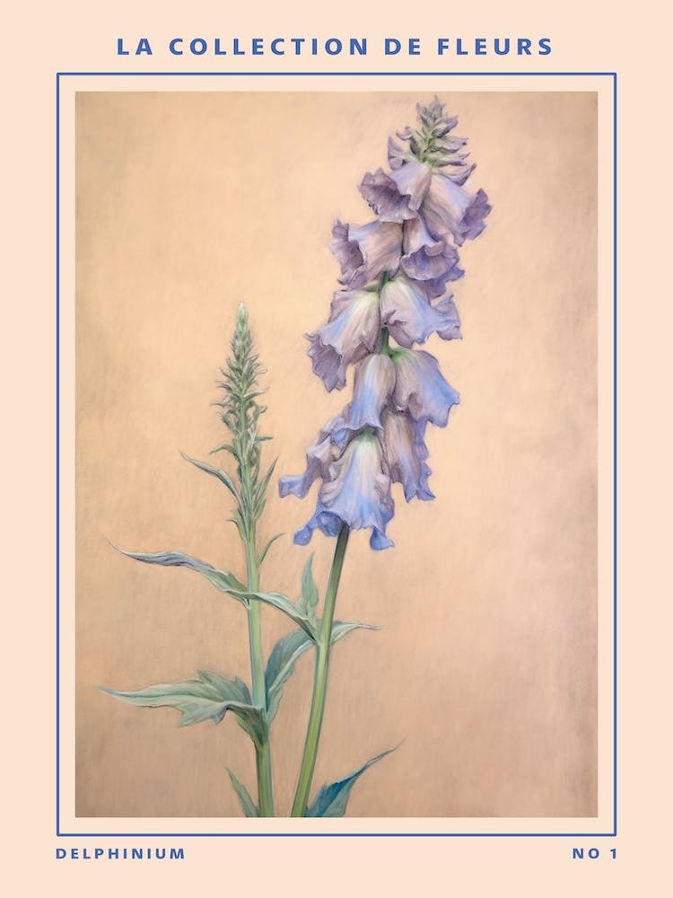 Delphinium French Flower Botanical Poster