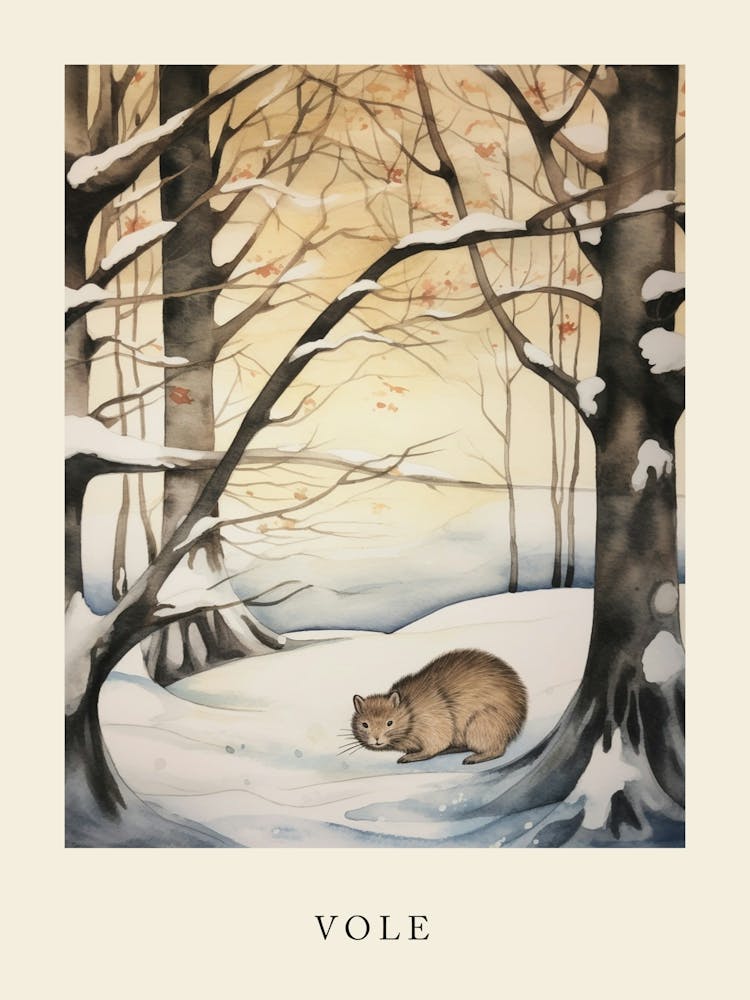 Winter Watercolour Vole Poster
