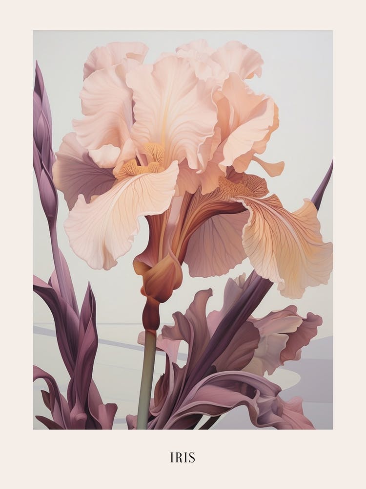 Florale Illustration Iris 1 Poster