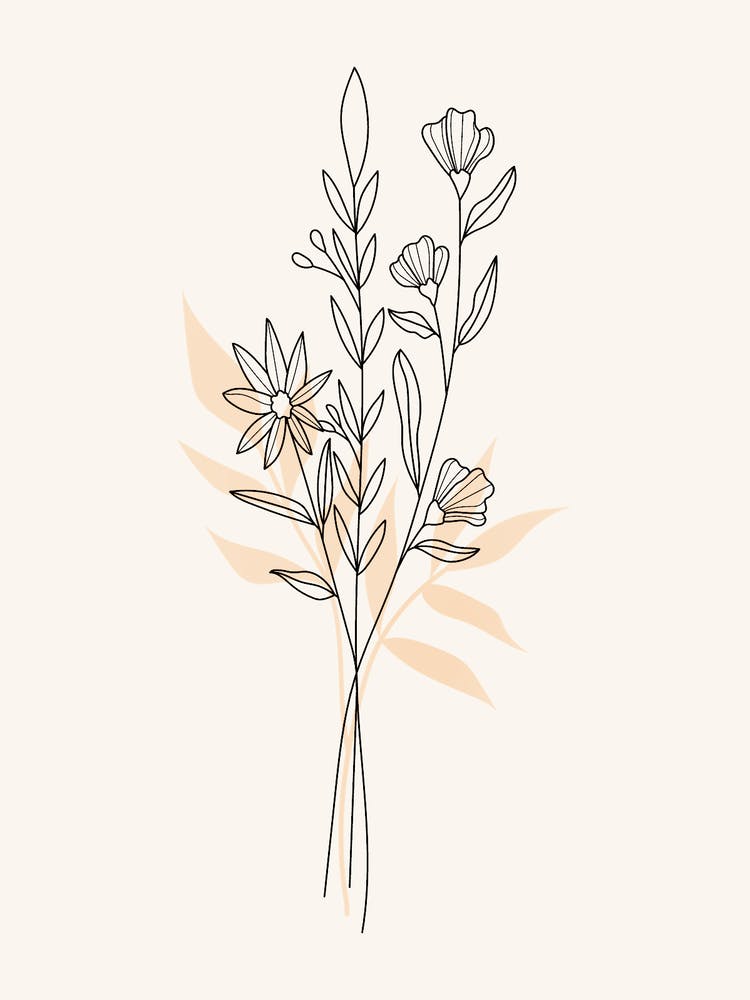 Line Drawing Of Flowers