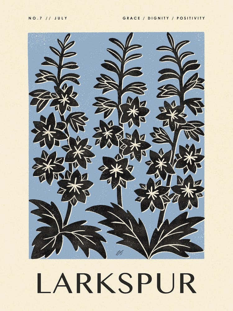 Rustique Fleur de Naissance de Juillet Dauphinelle Noir Bleu