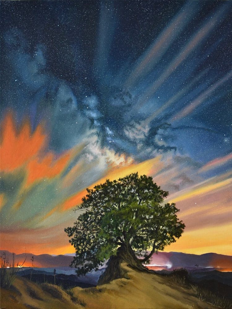 Lone Tree
